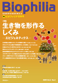 Biophilia 19 : 生き物を形作るしくみ <small>―エピジェネティクス―</small>